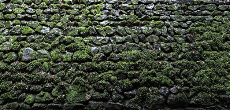 rough mossy stone wall texture