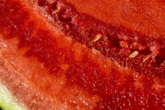 Extreme close up of fresh watermelon flesh with small pale seeds, juicy red pulp and natural fibrous texture. Vibrant macro background showing the detailed interior of ripe watermelon.
