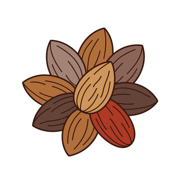 Assorted almond nuts pile vector illustration with various brown shades on white ground