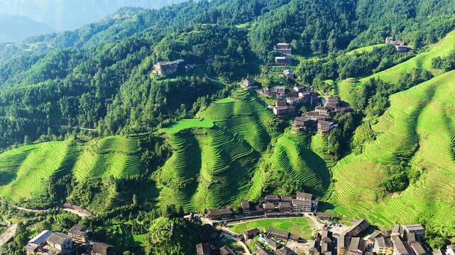 High angle view of Longji rice terraces with green layered fields and traditional wooden houses in Guilin under bright sunlight.
