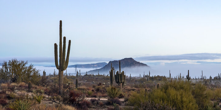 Early Morning Ultra Wide Ratio Misty AZ Sonoran Desert Landscape