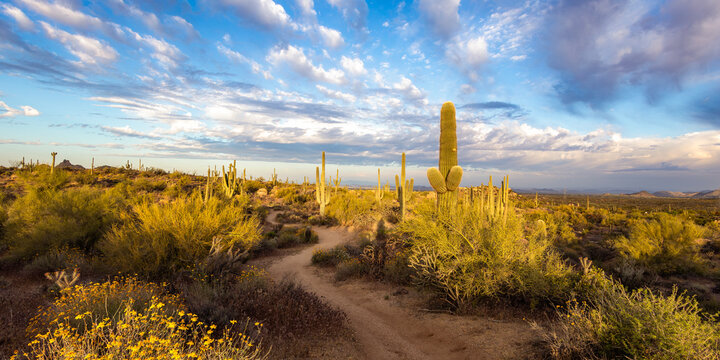 Ultra Wide Ratio Sonoran Desert Hiking Trail Landscape Scottsdale AZ With Big Sky 