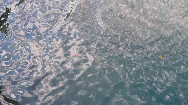 bright sunlight reflecting off gently rippling blue water with tiny floating autumn leaves, shimmering river waves and sun glare dancing on a fluid liquid surface