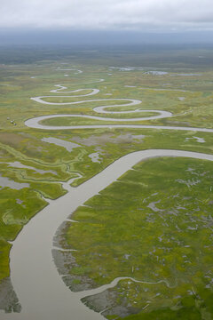 Winding Intertidal River