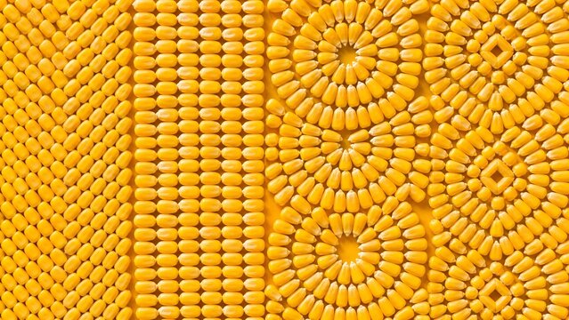 Yellow corn kernels arranged as geometric pattern, abstract food texture concept