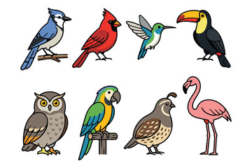 Fototapeta premium Colorful cartoon birds illustration set