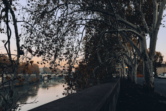 Classical architecture and arched bridge over river with soft evening tones and reflections creating timeless urban landscape in Italy, Rome, Italy.