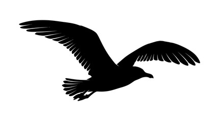 Obraz premium Soaring seagull with outstretched wings a black silhouette