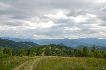Fototapeta premium Scenic mountain ridge with winding dirt road cutting through grassy meadows and mixed forest, layered hills in the distance and dramatic overcast clouds creating moody, natural landscape. Carpathians