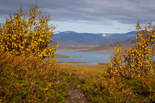 Tornetrask Lake and Mountain Landscape in Autumn, Abisko