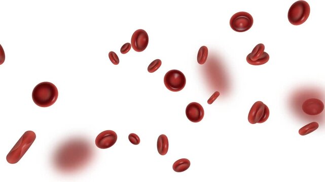 Red blood cells floating on white background with soft depth of field medical loop