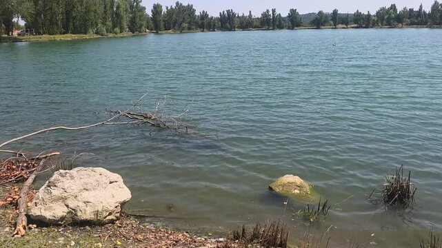 Scenic View of Les Lacs du Fauga in Le Fauga, Haute-Garonne. Toulouse, France