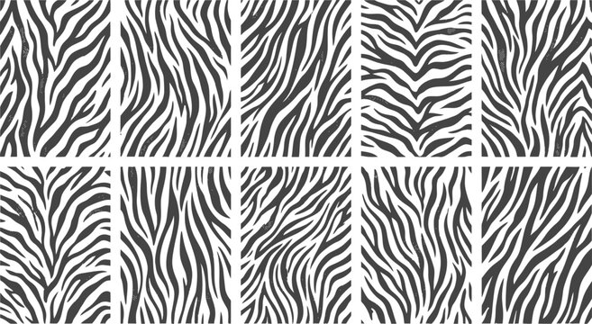 Zebra skin pattern vector collection. Includes ten different black and white animal print seamless textures. Monochrome stripe designs for fashion fabric, wallpaper, and creative textile prints.