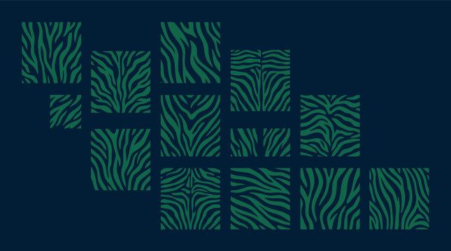 Zebra print pattern vector background. Features green animal stripes on dark blue background. Modern abstract graphic design for fashion, textiles, and wildlife decor.