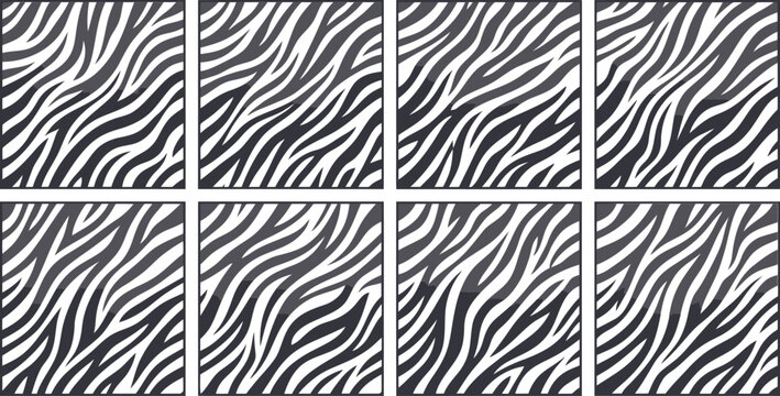 Zebra print pattern seamless collection. Features black and white animal stripes in various organic wave formations. Monochromatic vector backgrounds for fashion fabrics and textile design.
