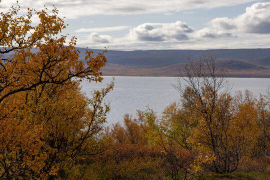 Abisko Mountain Landscape in Autumn, Swedish Lapland
