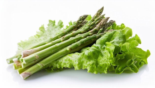 Asparagus Lettuce On White Background