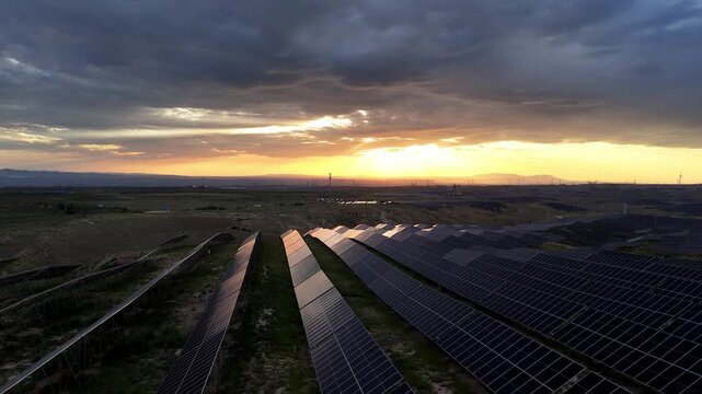 rows of solar panels under sunset sky