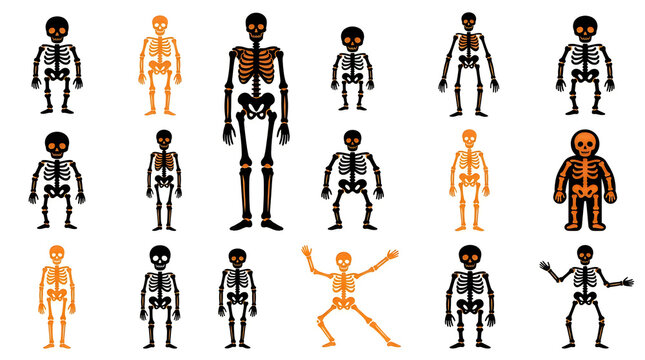 Colorful cartoon skeletons and human figures collection