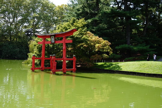 red wooden structure in the middle of algae filled water in garden