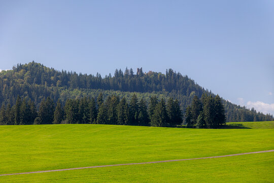 Rural Bavarian countryside landscape, Scenic view of slope hills and lush green grass meadow with tree trunk, Alpine mountains with pine forest under blue sky and white clouds, Bavaria region, Germany
