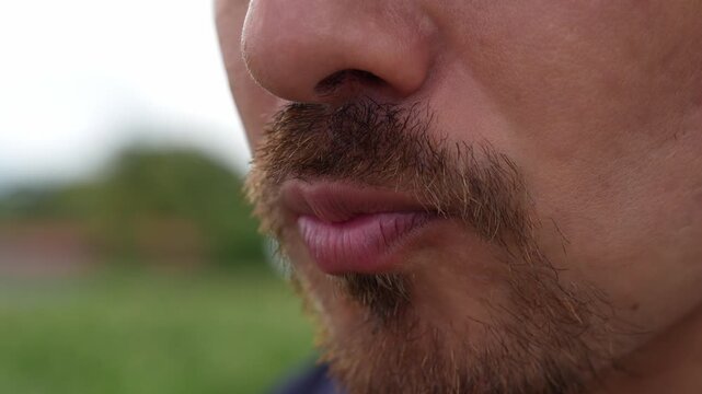 Close-up of a bearded man eating a fresh green leaf from a plant called Jocote; its scientific name is Spondias purpurea