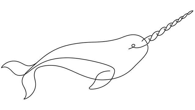 narwhal white background simple line drawing.