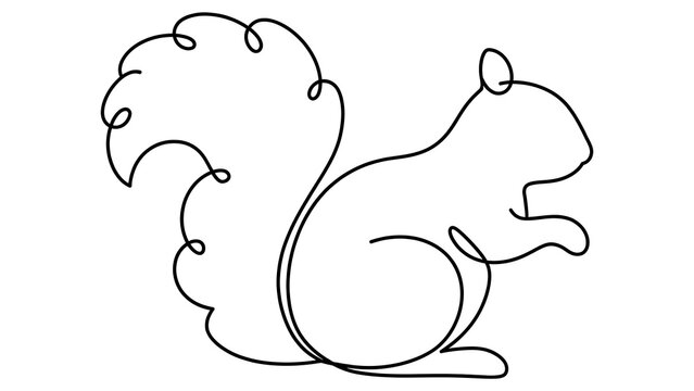 Squirrel white background line art.