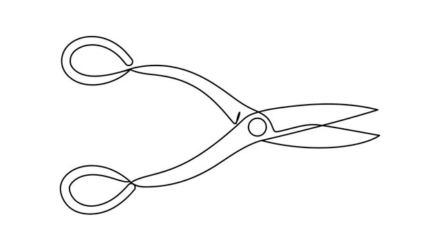 Scissors icon white background.