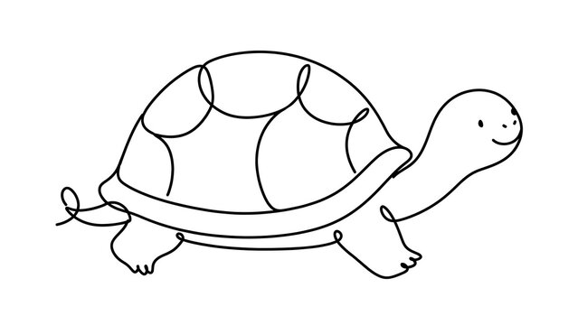 Turtle walking on white background.
