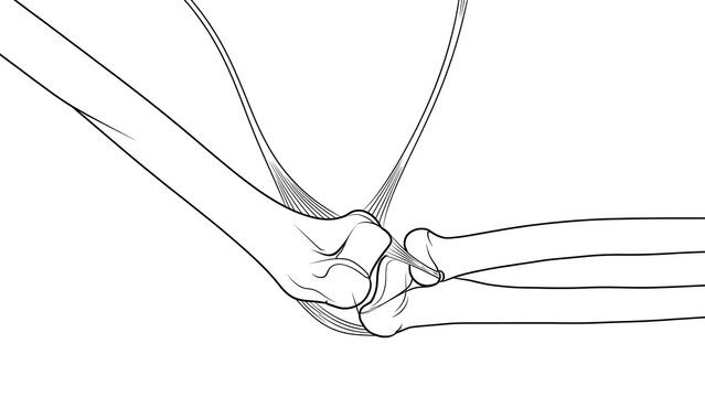 Human elbow joint white background.