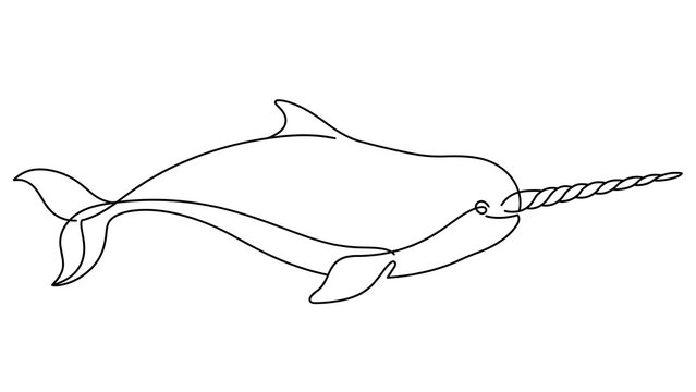 Narwhal Line Drawing on white background.