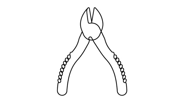 Pliers white background.