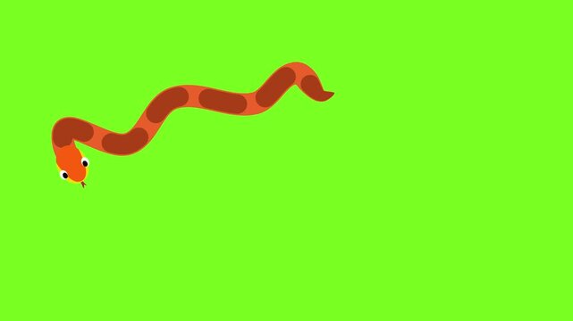 cute cartoon snake walking with green background. reptile movement animation