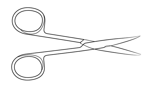 Scissors white background.