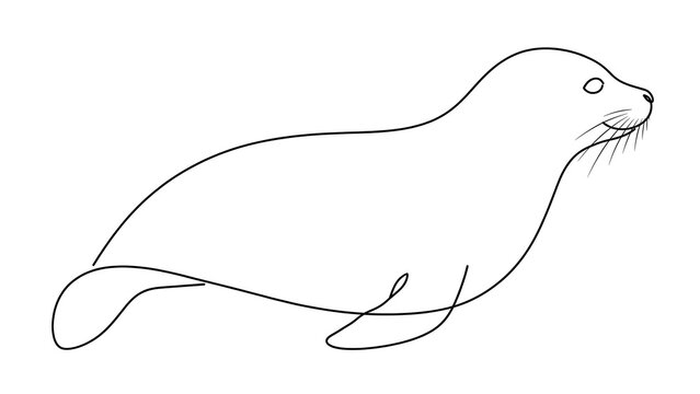 Seal white background animal mammal.