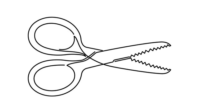 Scissors white background.