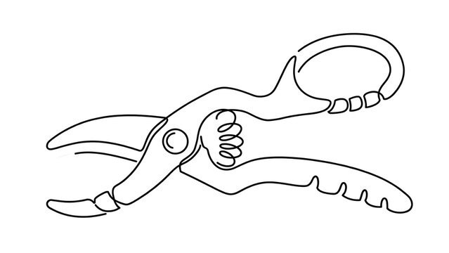 Pruning shears white background.