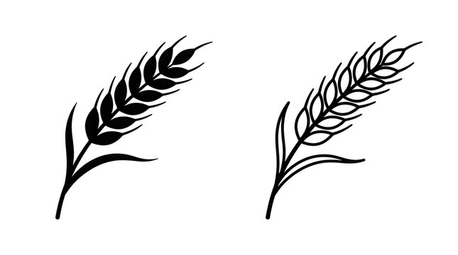 Two wheat ears illustration in black and white