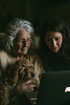 Senior woman and young woman with cute dog looking at laptop on couch at home