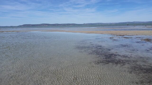 Extreme low water level at Lake Balaton, Hungary in September. Severe drought, climate change impacts, and dry lakebed