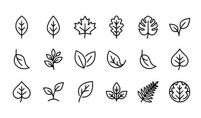 Leaf Botanical Thin Line Icon Set Editable Stroke Vector Collection © MD