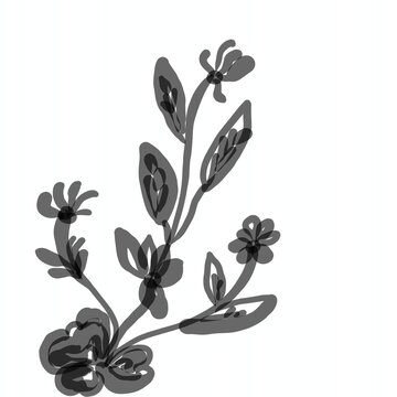 black olives vector illustration isolated on white