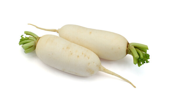 Two white daikon radishes isolated on white background