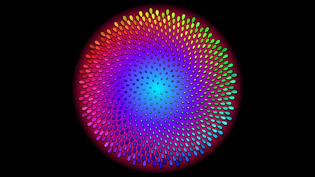Rainbow fibonacci phyllotaxis spiral rotating on a cutout alpha channel with vibrant spectrum colors for creative media production