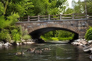 Fototapeta premium Ducks swimming in a clean river beneath a repaired bridge surrounded by lush green vegetation