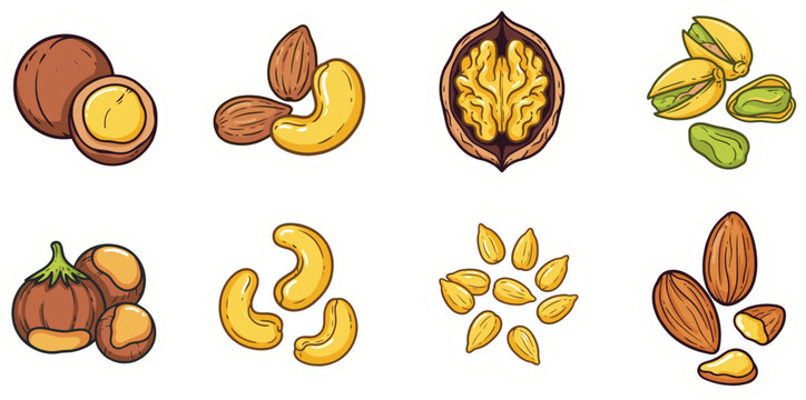 Hand Drawn Nut Illustration Set with Walnuts, Cashews, Pecans, Pistachios, Almonds and Mixed Nuts for Food and Healthy Nutrition Designs