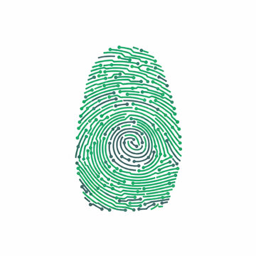 A thumbprint silhouette where the ridge lines are transformed into a complex electronic circuit board pattern, emerald green and slate grey colors, clean professional look, minimalist flat
