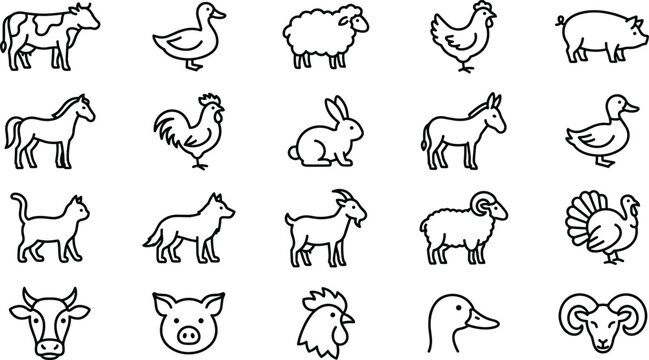 Domestic livestock farm animal vector line icon set featuring cow pig chicken horse sheep and rural agriculture symbols