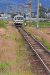 Obraz premium 田んぼアート駅
